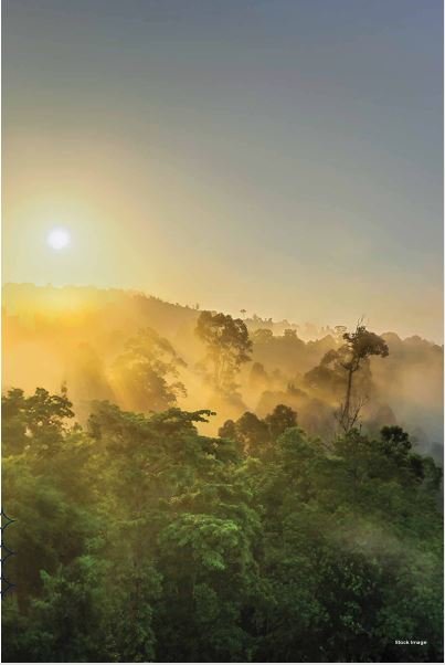 Sunrise View of Luxury Apartments at CHANDAK GREENAIRY, BORIVALI EAST